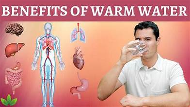 The Health Benefits of Drinking Hot Water